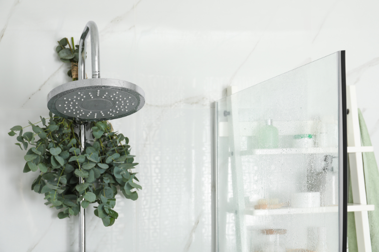 branches-with-green-eucalyptus-leaves-in-shower